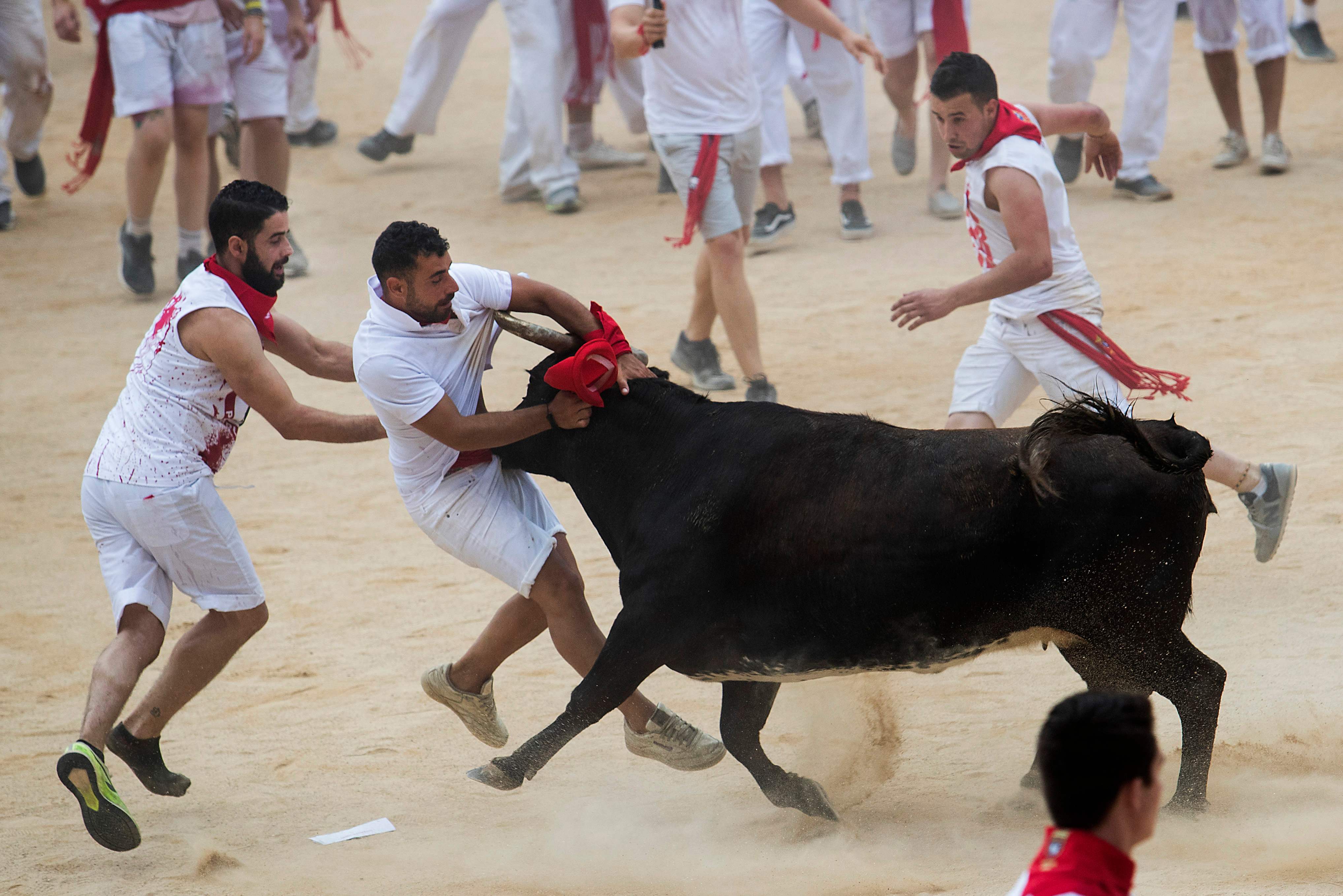 the sun also rises ernest hemingway bullfighting scene